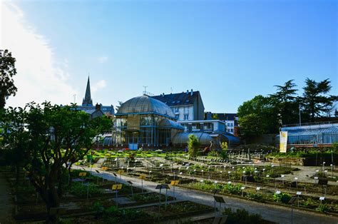 Escapade Au Jardin Des Plantes De Nantes