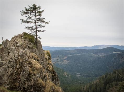 Hiking in the Vosges Mountains | Freeranger Canoe