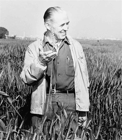 Norman Borlaug biography, birth date, birth place and pictures