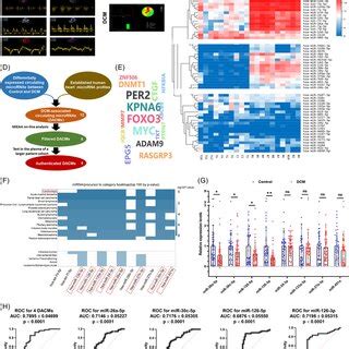 Profiling Of Circulating Micrornas Mirnas Closely Associated With