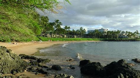 Ulua Beach Wailea All You Need To Know Before You Go With Photos Tripadvisor