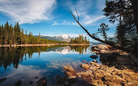 Hd Wallpaper Calm Forest Lake Landscape Nature Photography