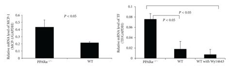 The Effects Of Ppar And Ppar Activation On Mcp And Tf Expression