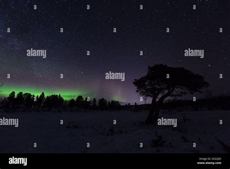 Northern Lights in Sweden Stock Photo - Alamy