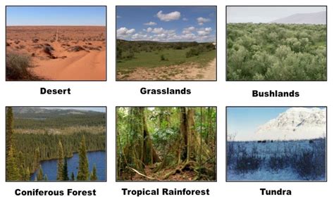 G2 Ecosystems And Biomes Bioninja