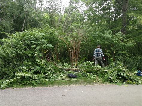 G Ross Lord Park Toronto Nature Stewards