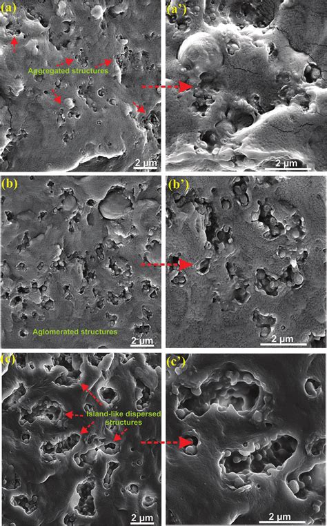 Sem Micrographs Of Cryo Fractured Surfaces Of Pp Pa Epdmg Ma Blends