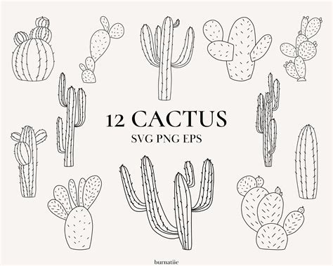 Cactus SVG Succulent Clipart Cactus Svg Bundle Cacti Svg Etsy Australia