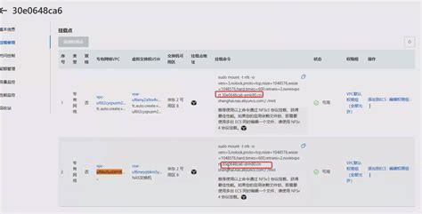 S创建和更新 Service 的 Api 接口应该有能力校验 Vpc 配置是否和挂载点匹配 · Issue 923 · Devsapp Fc