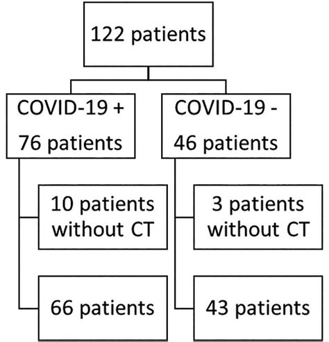 SciELO Brasil COVID 19 Computed Tomography Patterns In Renal