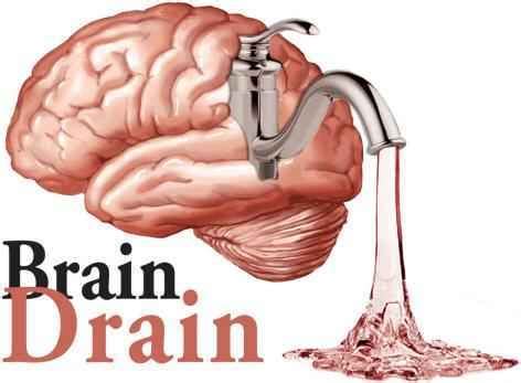 Ms Bermejo's classes: Brain Drain