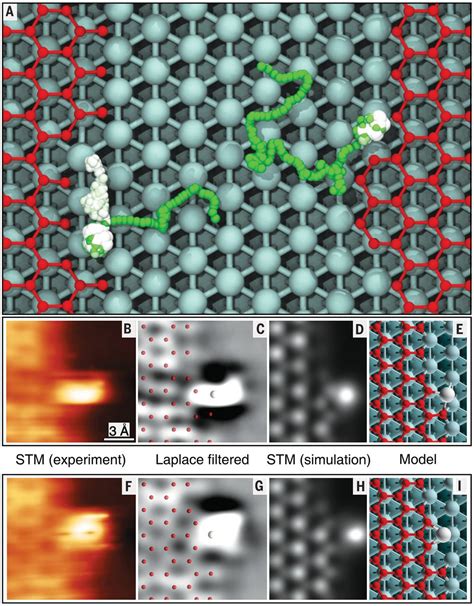 Real Time Imaging Of Adatom Promoted Graphene Growth On Nickel Science