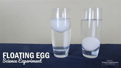 Floating Egg Science Experiment