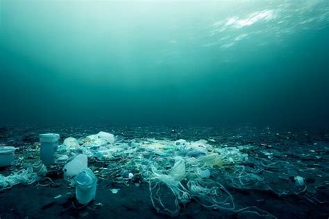 Underwater Pollution Images – Browse 34,455 Stock Photos, Vectors, and ...