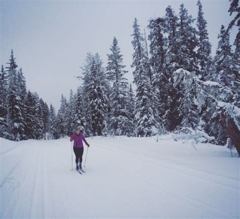 A First Timer's Take on Cross-Country Skiing at Stake Lake in Kamloops ...