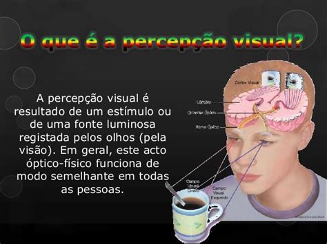 O Que É Percepção Visual - Percepção visual