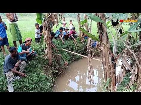 Aktivitas Keseharian Warga Setiap Sore Mandi Di Jamban Di Bawah Kampung