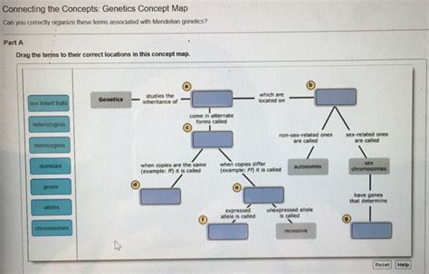 Solved Connecting The Concepts Genetics Concept Map Can You Chegg