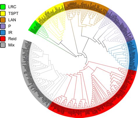 Cluster Analysis Of 291 Maize Inbred Lines Download Scientific Diagram