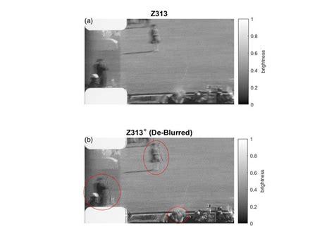 Zapruder frame 313 rendered in grayscale brightness: (a) Z313, and (b ...