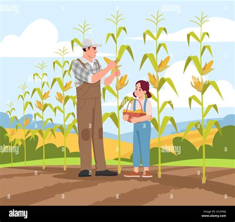 Commercial corn field Stock Vector Images - Alamy