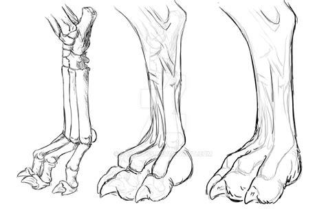 Wolf Paw study by CasArtss on DeviantArt