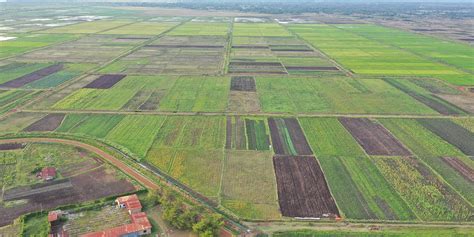 West Kano Irrigation Scheme National Irrigation Authority