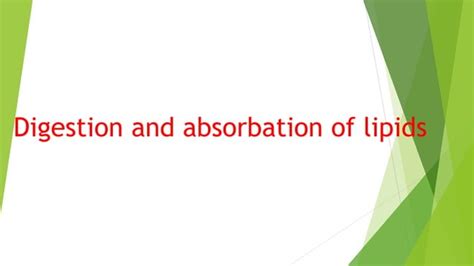 Digestion And Absorbation Of Lipids Pptx