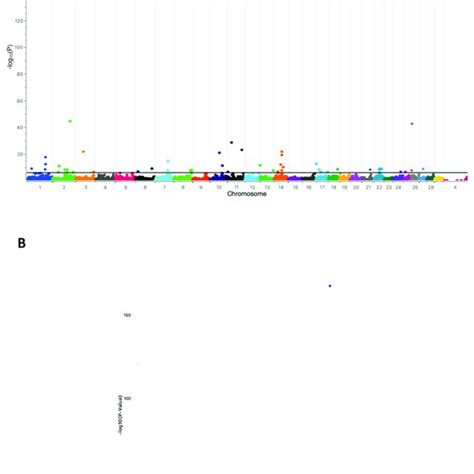 Manhattan Plot Of The Genome Wide Association Analysis Gwas N 289