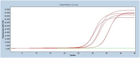 Sybr Green Qpcr Method