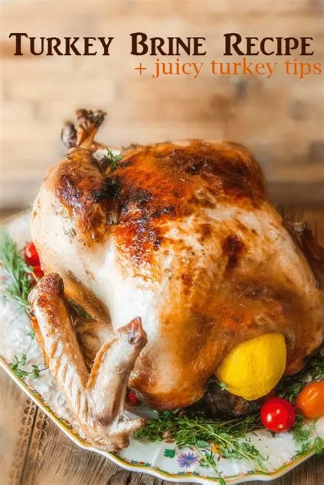 Citrus & Herb Turkey Brine Recipe for a Juicy Thanksgiving Turkey