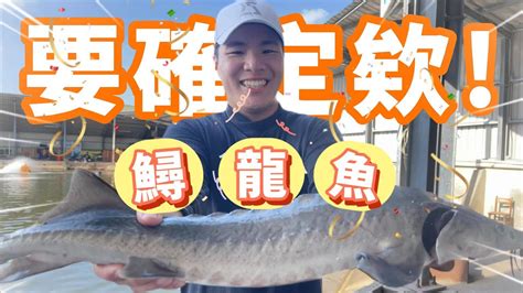 海釣場 要確定欸鱘龍魚在海釣場釣到活化石超好吃鱘龍魚高潮海釣場高潮海釣場fishing 海釣場 釣魚 Youtube