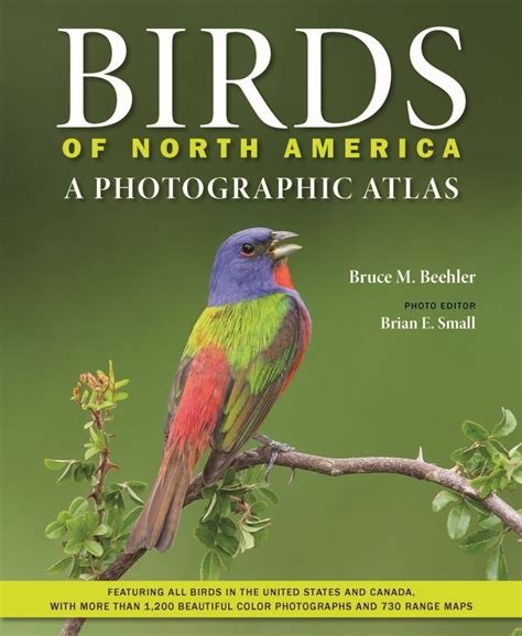 Birds Of North America A Photographic Atlas NHBS Field Guides