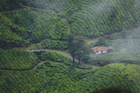 Munnar Wallpapers - Wallpaper Cave