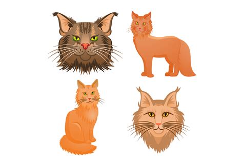 Maine Coon Icons Set Cartoon Style Illustration Par Nsit0108