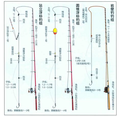 防波堤钓黑鲷不难，掌握食饵喜好、底钓法，教你如何高效钓获黑鲷 知乎