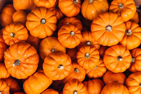 Nebraska Pumpkin Patch Named Among 25 Best Pumpkin Patches In The Us