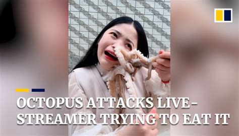 Octopus Attacks Live Streamer As She Tries To Eat It Alive South China Morning Post