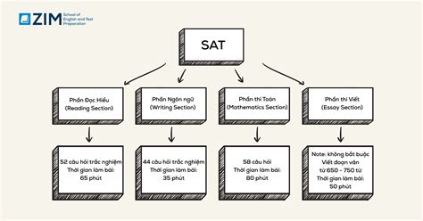 Kỳ Thi Sat Những Điều Cơ Bản Bạn Cần Biết