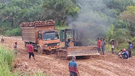 Parah Bos Pusing Truk Si Raja Lumpur Sampai Tak Berdaya Di Tanjakan