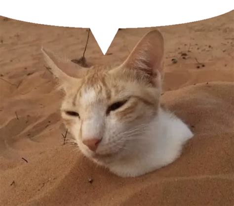 Slowly Stealing Your Gay ML AU Masterpost