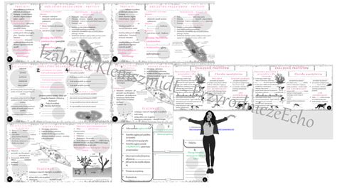 Klasy Przyroda Strona Z Z Otynauczyciel Kup I Sprzedaj