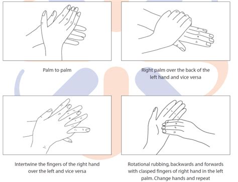 A Colour Coding System And Infection Control For Cleaners Part Iv Infection Control Hand