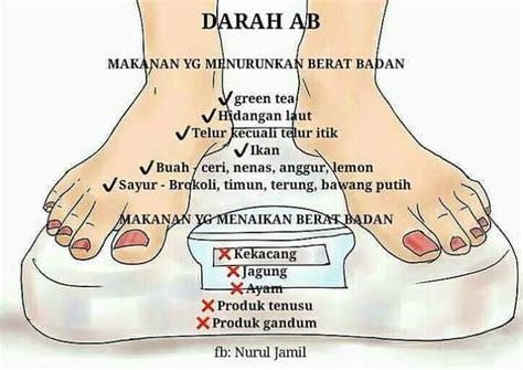 Tips Diet Ikut Jenis Darah ~ Cikgu Norazimah