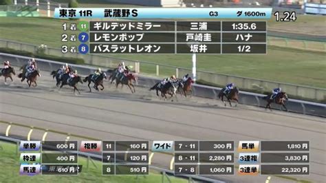 【1112 武蔵野sほか】東京ダイジェストjraレース結果 競馬予想動画 Netkeiba