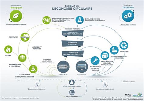 Economie circulaire L économie circulaire française en plein essor