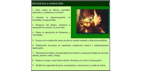 Alcohol Y Drogas En La Conducción Seguridad