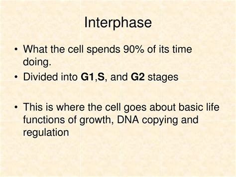 Ppt How Cells Divide Powerpoint Presentation Free Download Id 5738928