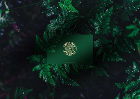 CURLY FERN ORGANICS BRANDING on Behance