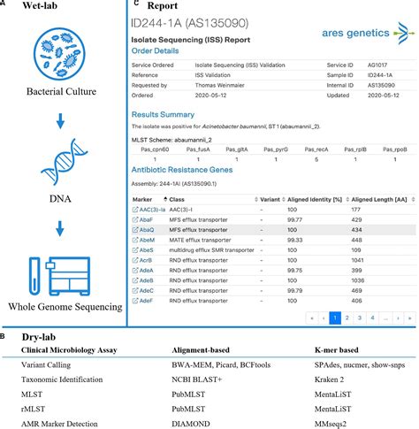 Frontiers Analytical Performance Validation Of Next Generation